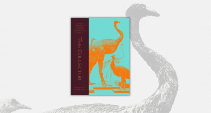 Kete HOME PAGE IMAGES 715 X 384(491)