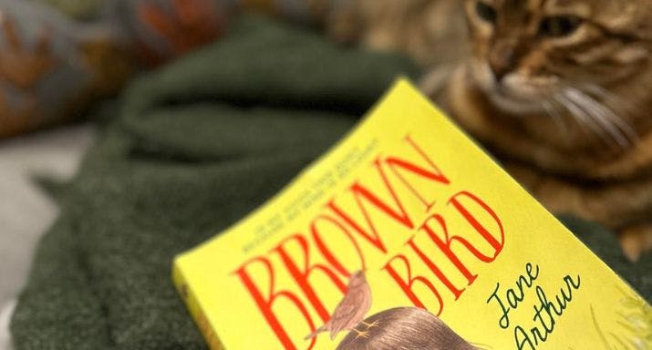 Brown bird review